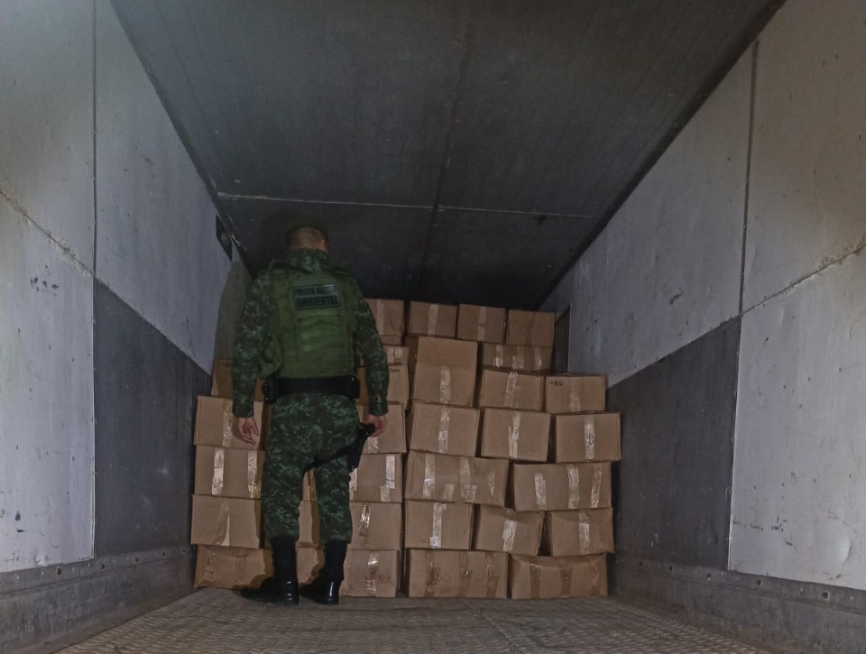 Carga de pescado ilegal avaliada em R$ 230 mil é apreendida no Amazonas