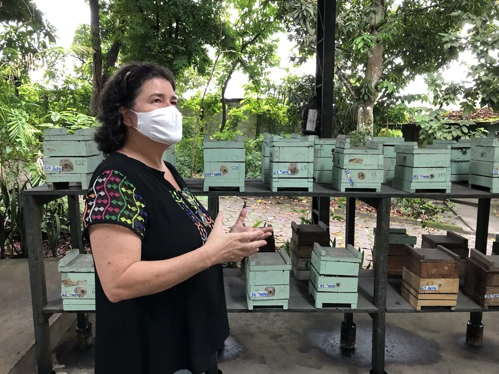 Inpa vai celebrar Dia Internacional da Mulher com evento online