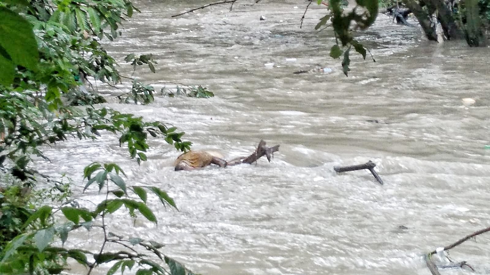 Corpo é encontrado boiando em igarapé durante temporal em Manaus