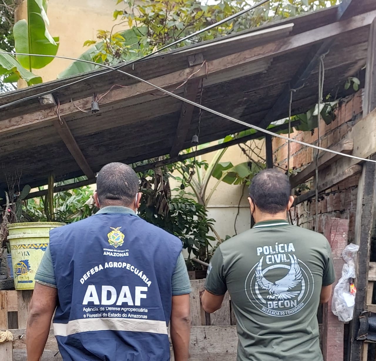 Abatedouro clandestino em bairro de Manaus é interditado após denúncias