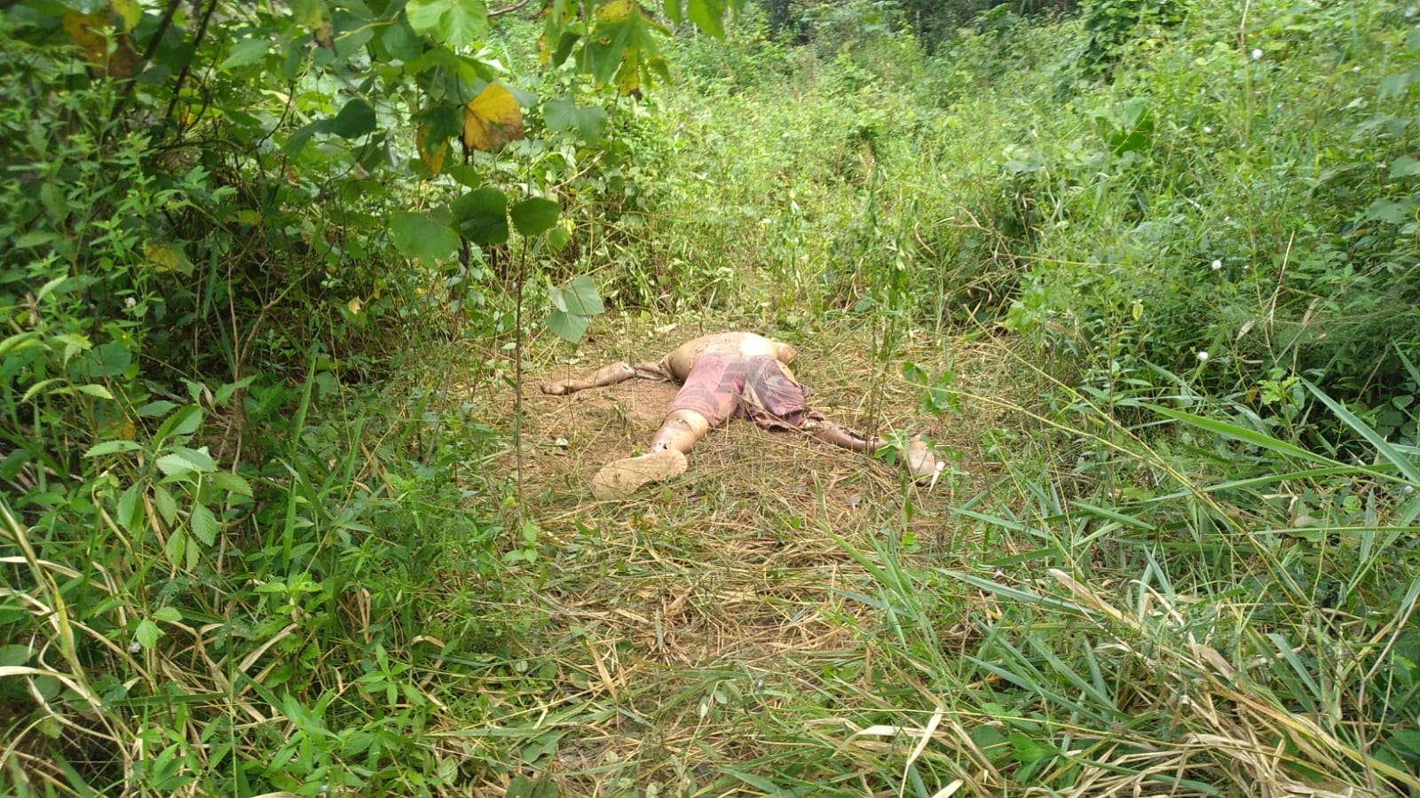 Corpo sendo devorado por urubus é encontrado em ramal de Manaus
