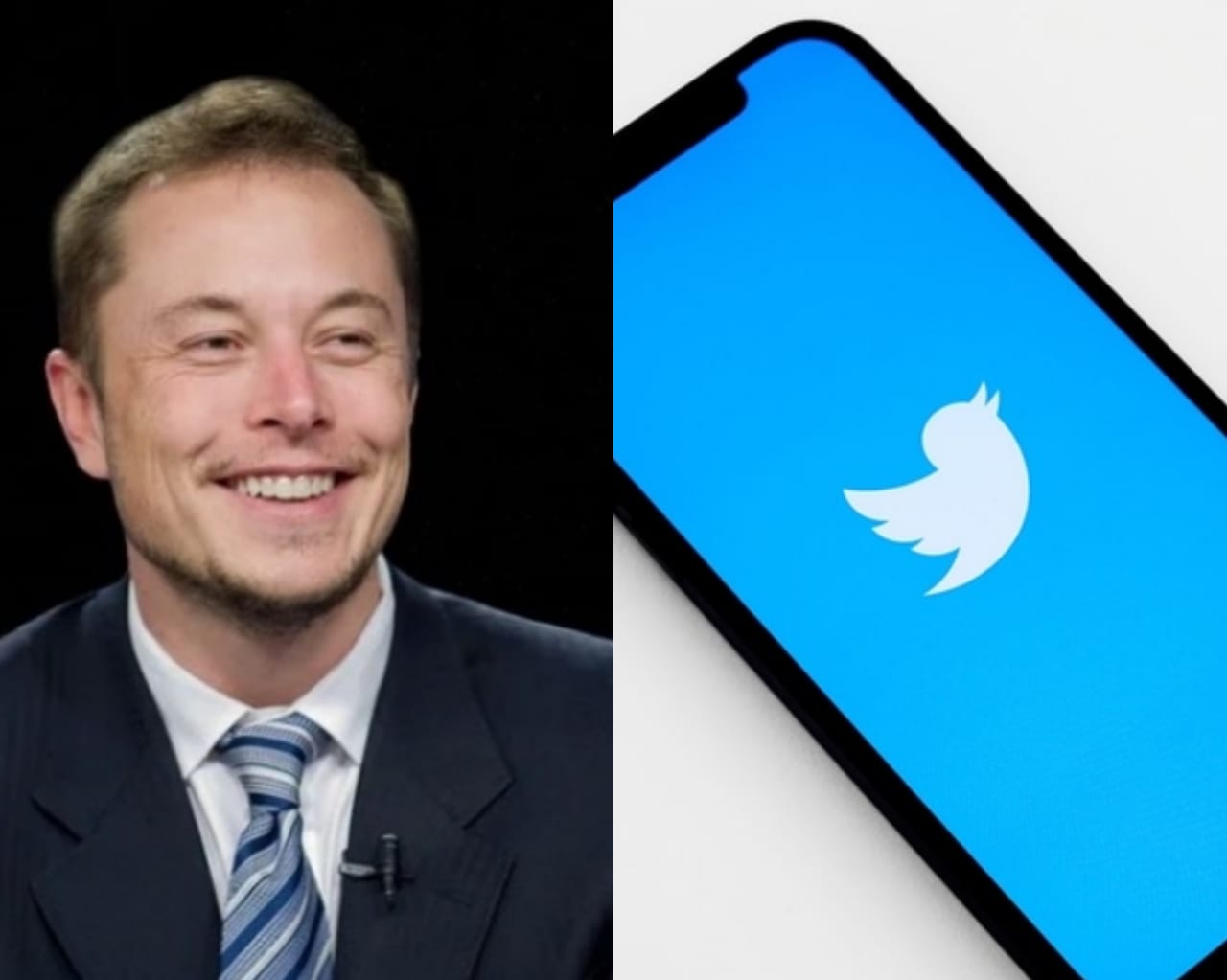 Twitter aceita oferta de compra feita por Elon Musk