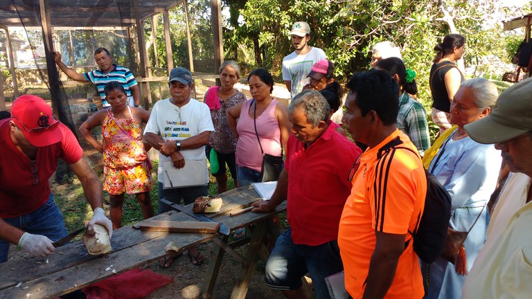 Inpa inicia treinamento em práticas agroecológicas para agricultores
