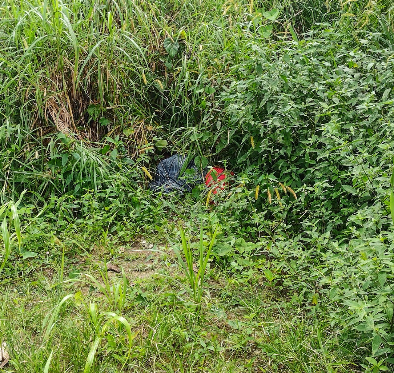 Enrolado em lona, corpo de homem é achado em ramal em Manaus