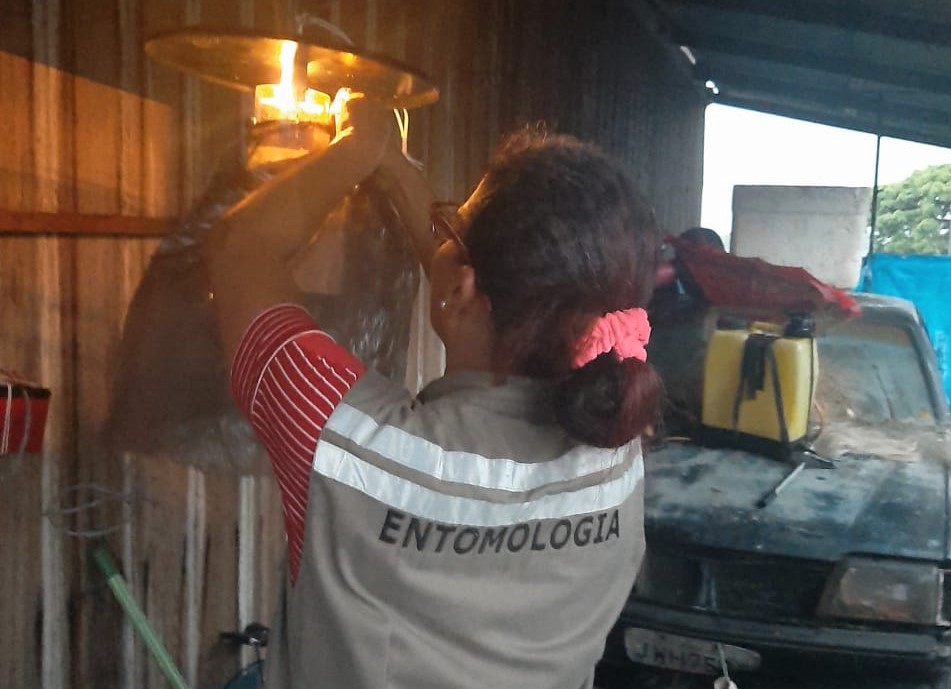 Caso de Leishmaniose Visceral Canina é investigado no interior do Amazonas