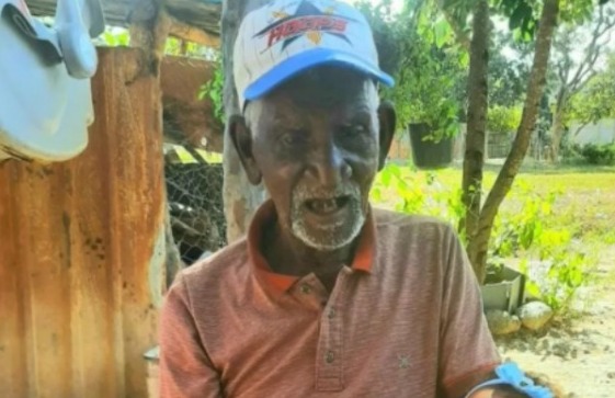 Idoso morre após ser atacado por mais de 500 abelhas 