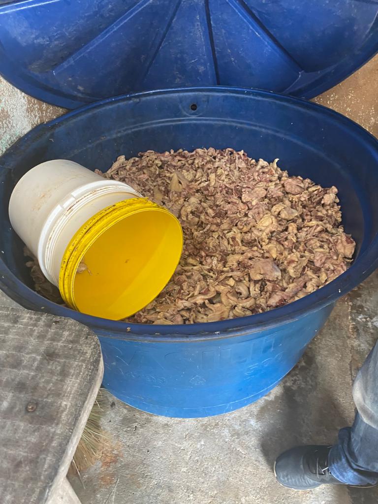 Charque e linguiça impróprios para consumo são apreendidos em Manaus