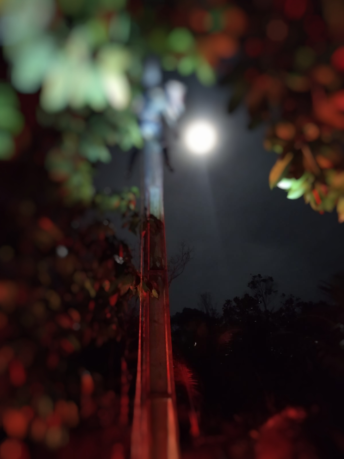 Homem é encontrado carbonizado 'grudado' em poste na BR-174