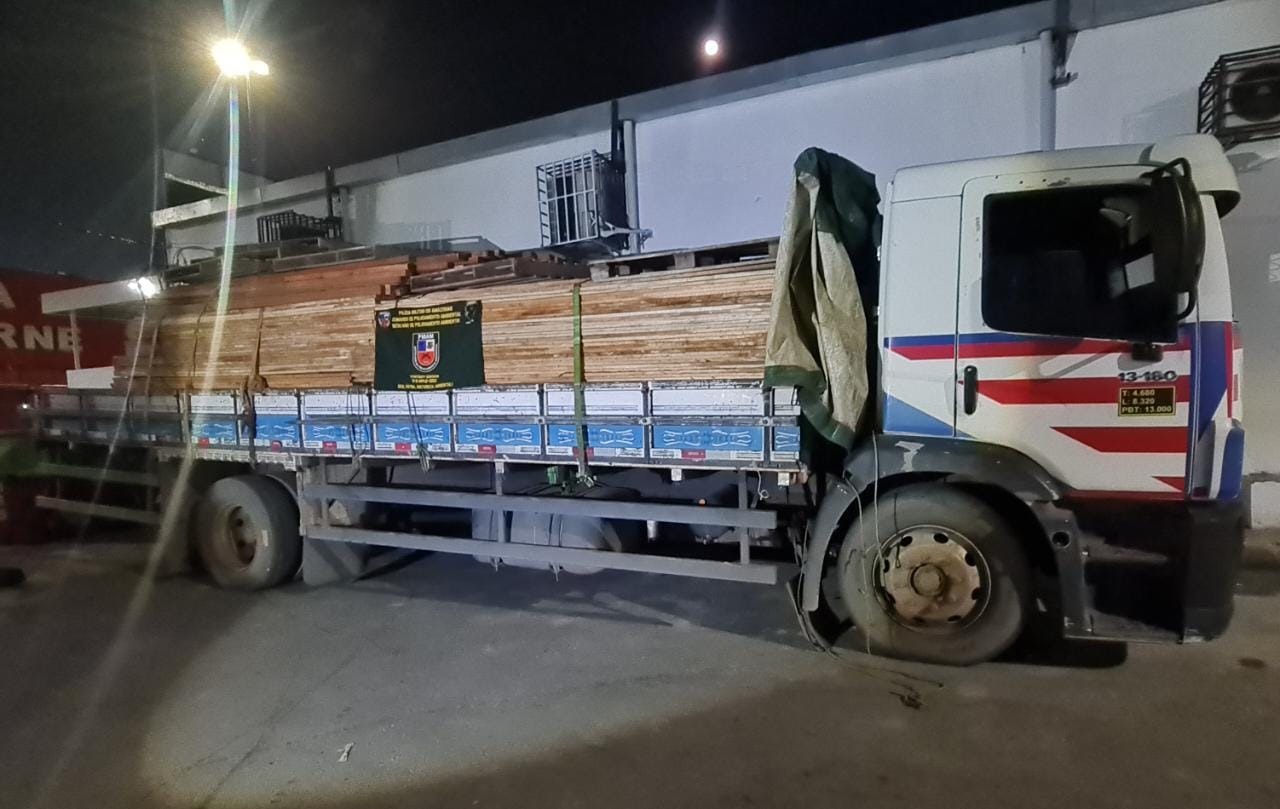 Carga de madeira ilegal avaliada em R$ 7 mil é apreendida na AM-010