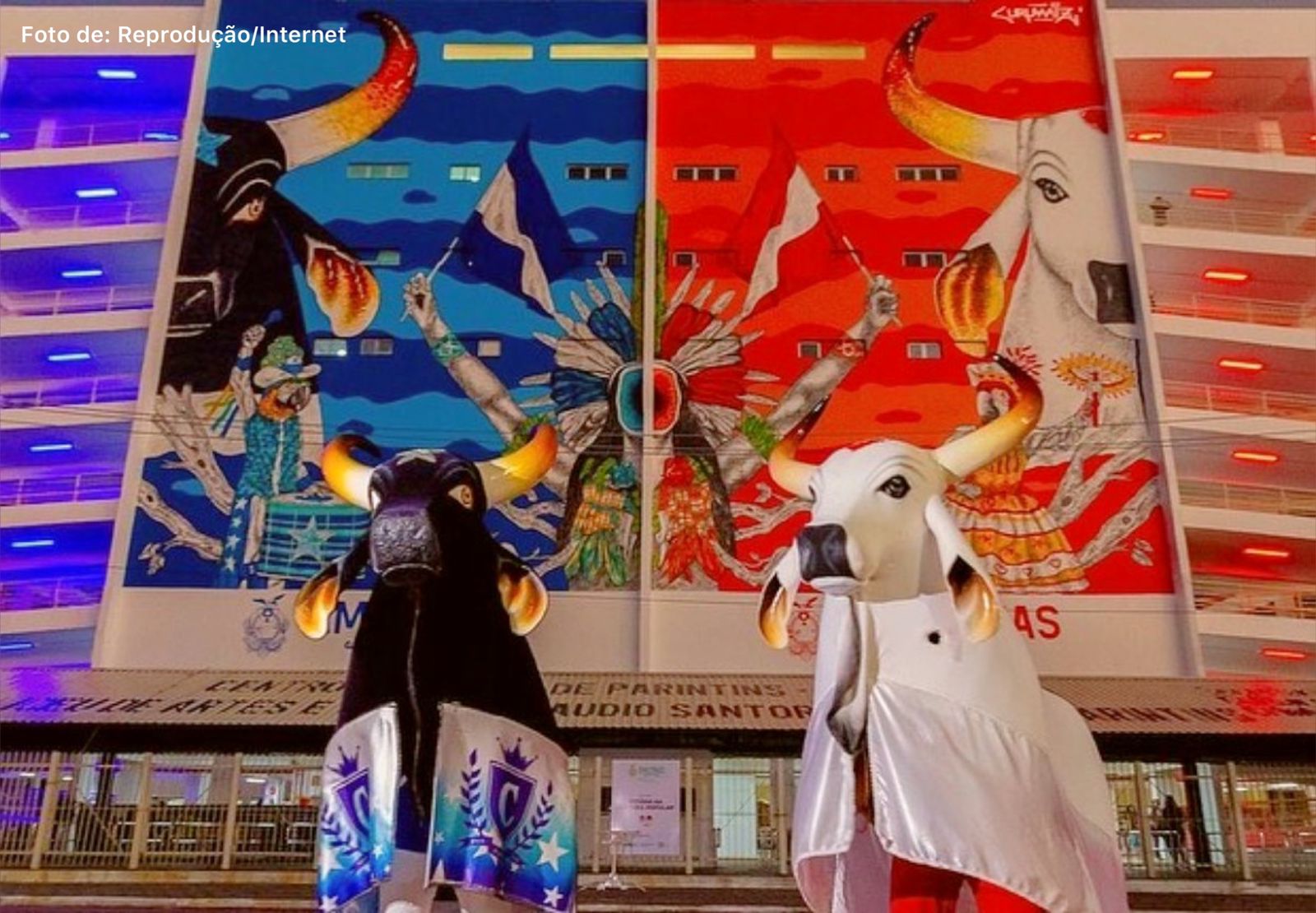 Bois de Parintins precisam adotar leis mais rígidas sobre má gestão