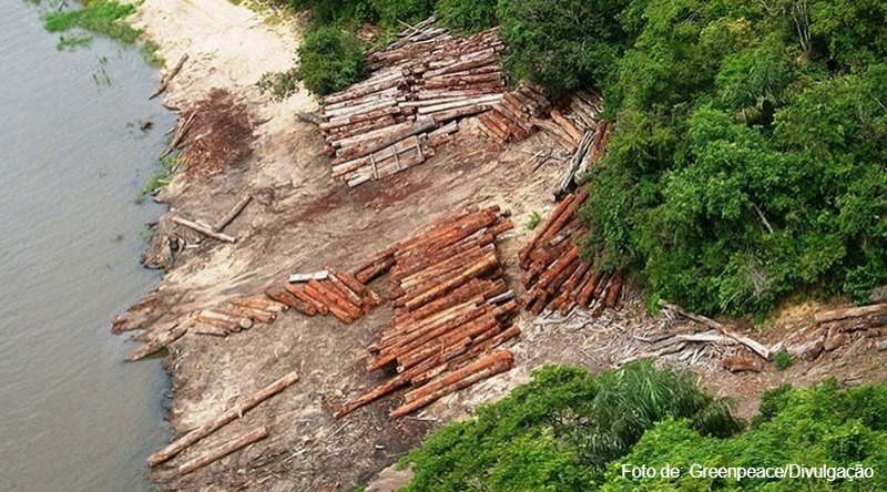 A Amazônia está queimando. Ai, ai, que horror! Ai, ai, que dor!