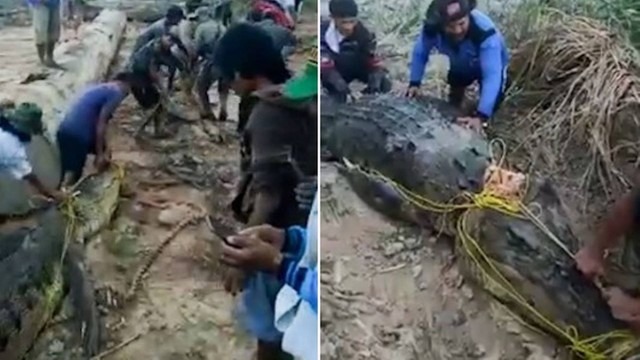 Corpo de pescador desaparecido é encontrado em crocodilo de 8 metros