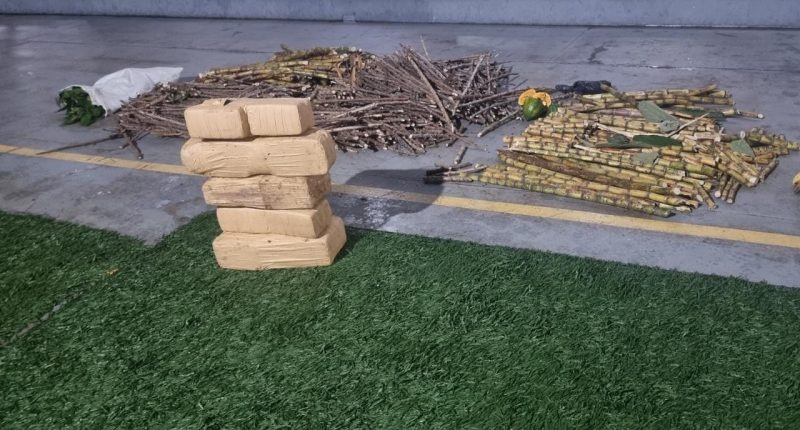 Mais de 40kg de drogas são apreendidos em barco no Porto de Manaus
