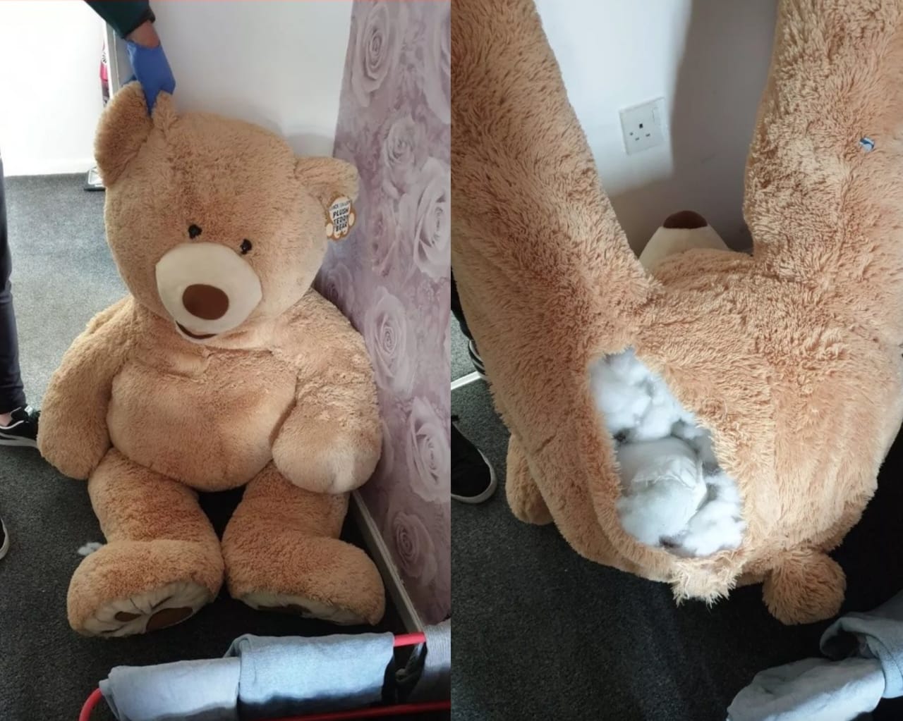 Foragido por roubo de carro é encontrado dentro de urso de pelúcia gigante