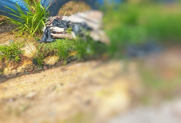 Corpo esquartejado é encontrado dentro de sacos de lixo em rua de Manaus