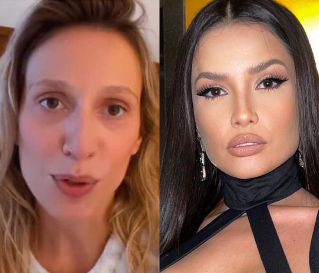 Luisa Mell alfineta Juliette após ex-BBB exibir seus cachorros de raça