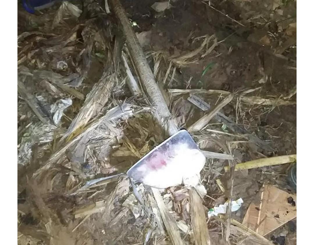 Criança de 3 anos fica aterrorizada ao ver pai ser morto com golpes de enxada