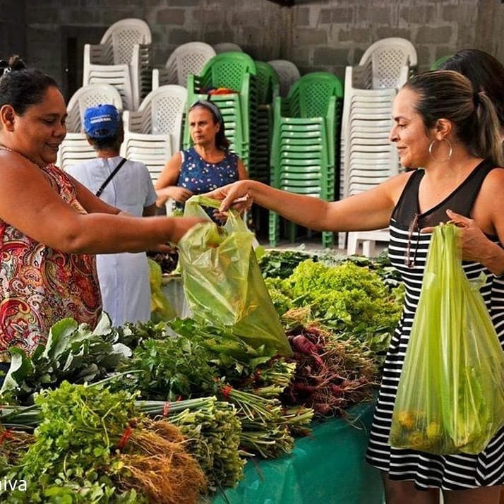 Feiras de Manaus oferecem frutas e verduras orgânicas durante a semana