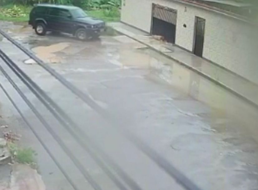 Vídeo: Cadela morre após ser atropelada várias vezes por vizinho em Manaus