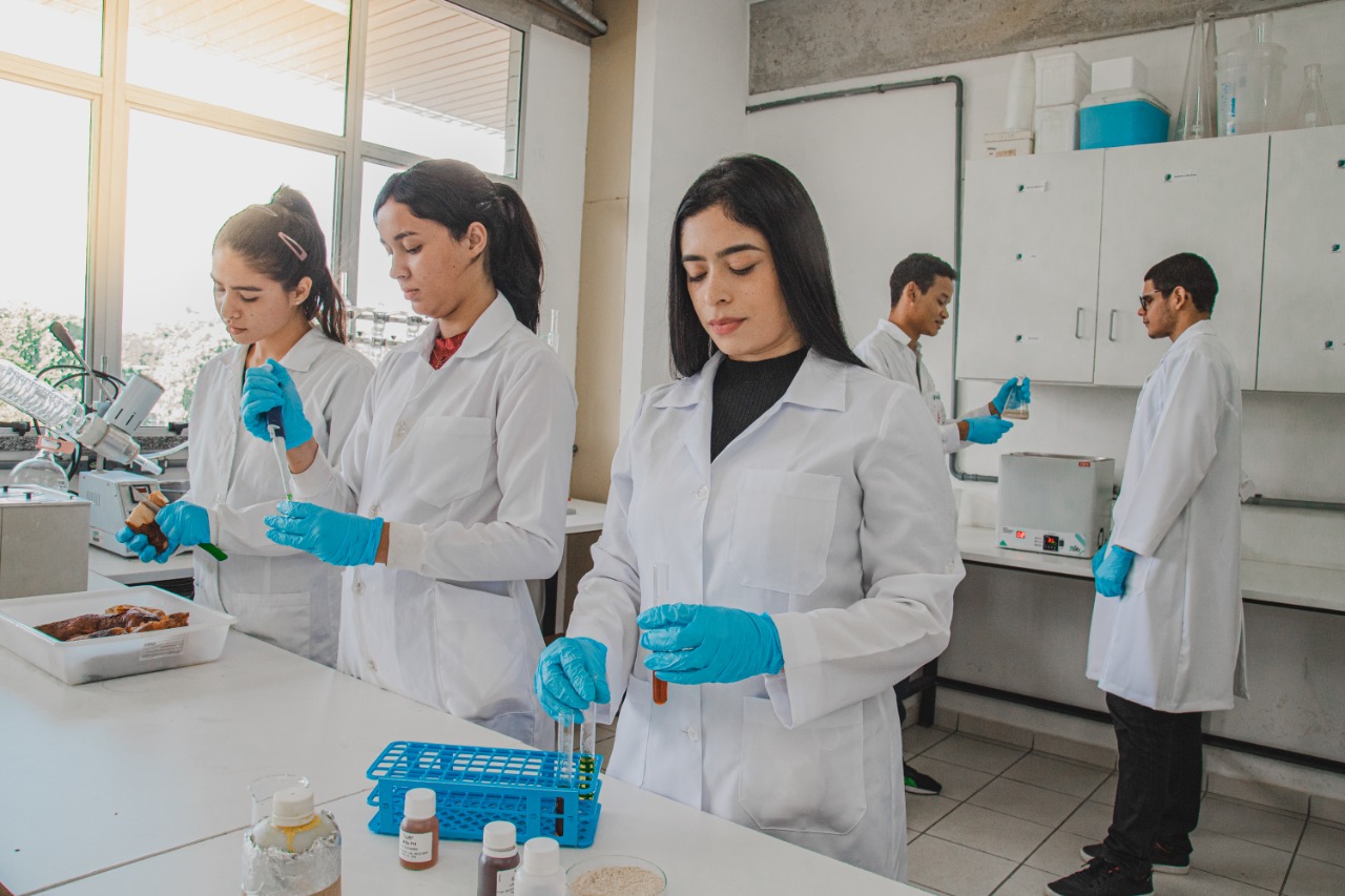 Pesquisa avalia espécie de mandioca para a produção de etanol no Amazonas 