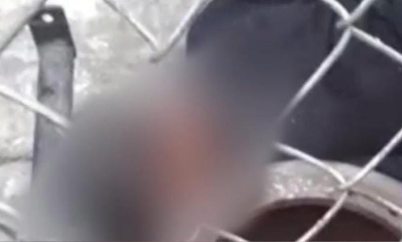 Jovem é baleado ao demorar a entregar celular para assaltantes em Manaus