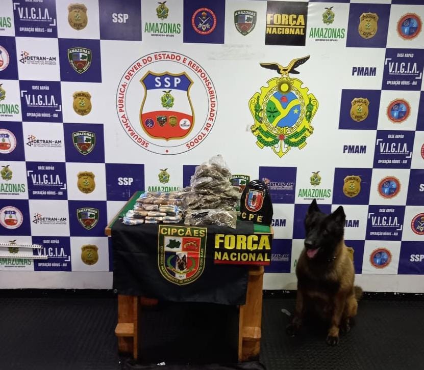 Drogas avaliadas em R$ 75 mil são encontradas em barco no Amazonas