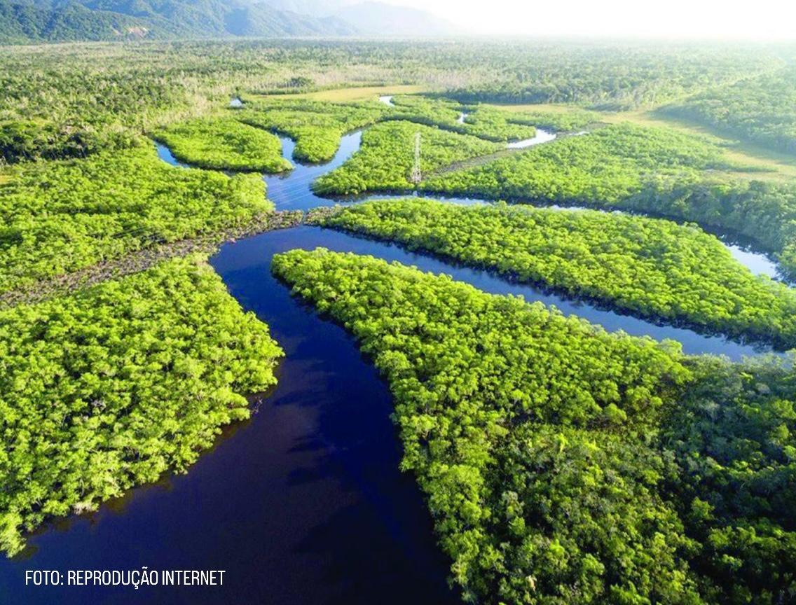 COP30 na Amazônia, eu acredito!