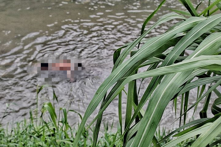 Homem é achado morto boiando em igarapé em Manaus