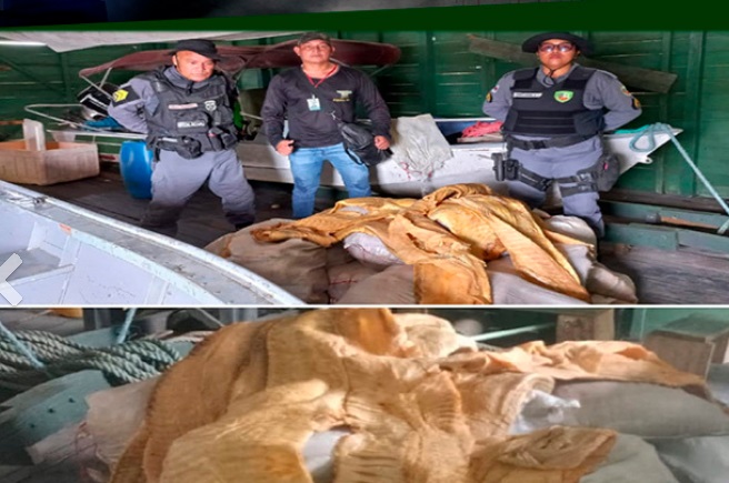 Polícia apreende 2 toneladas de pirarucu em barco no Amazonas