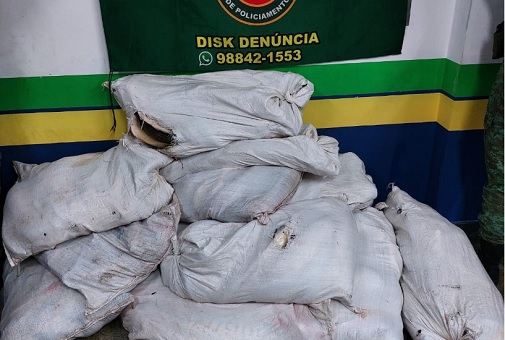 Polícia apreende 500 kg de pescado ilegal, avaliado em R$ 8 mil, em Manaus