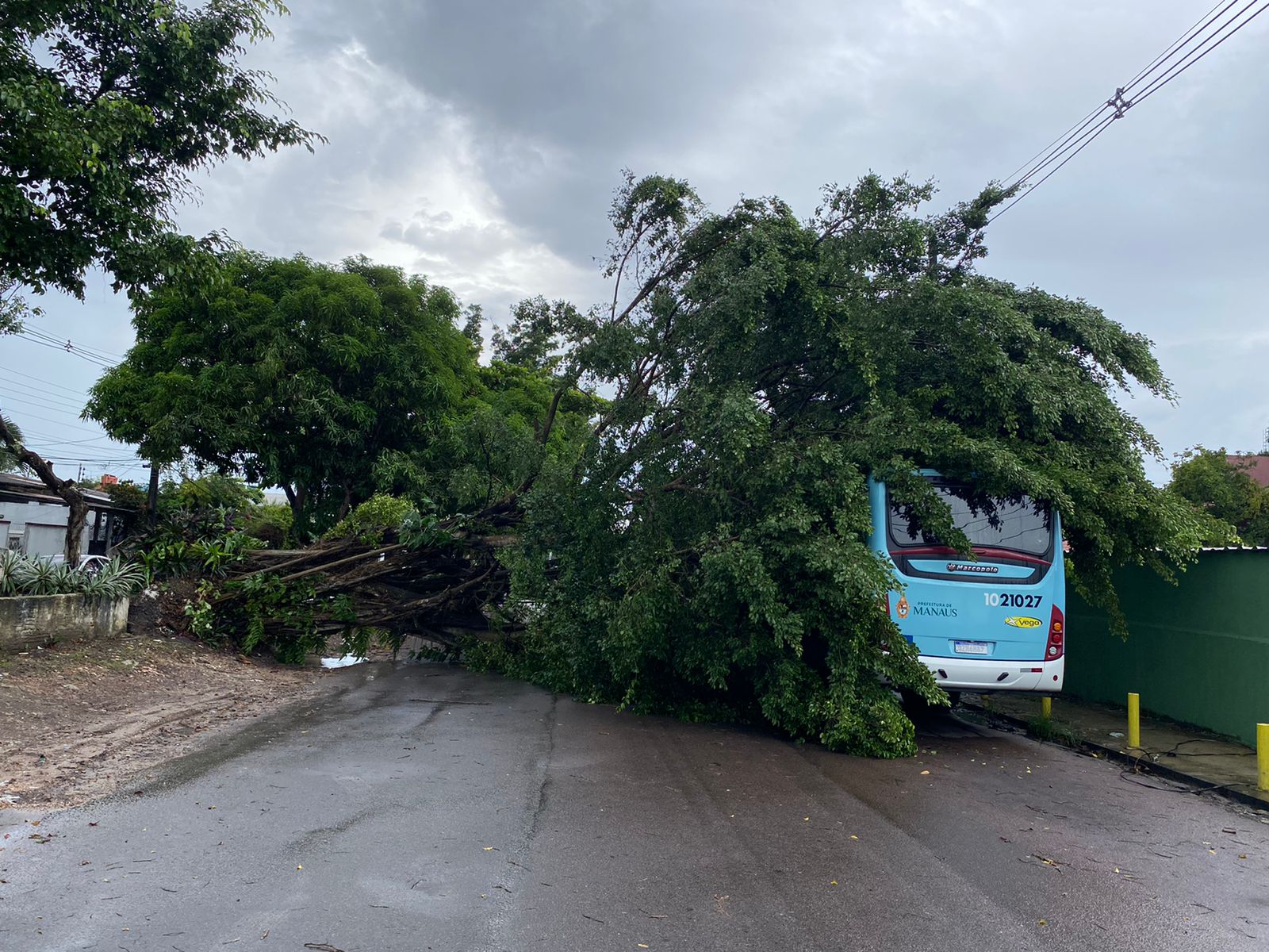 Árvore desaba sobre ônibus com passageiros em meio à tempestade em Manaus
