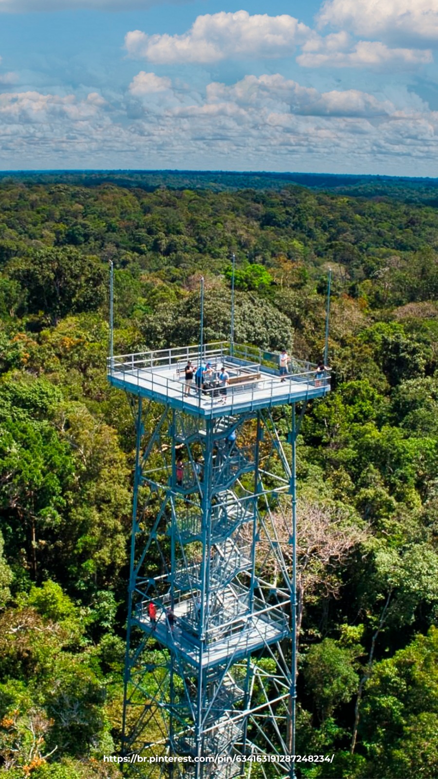 E o Prêmio Nobel Verde vai para ....  Manaus! 