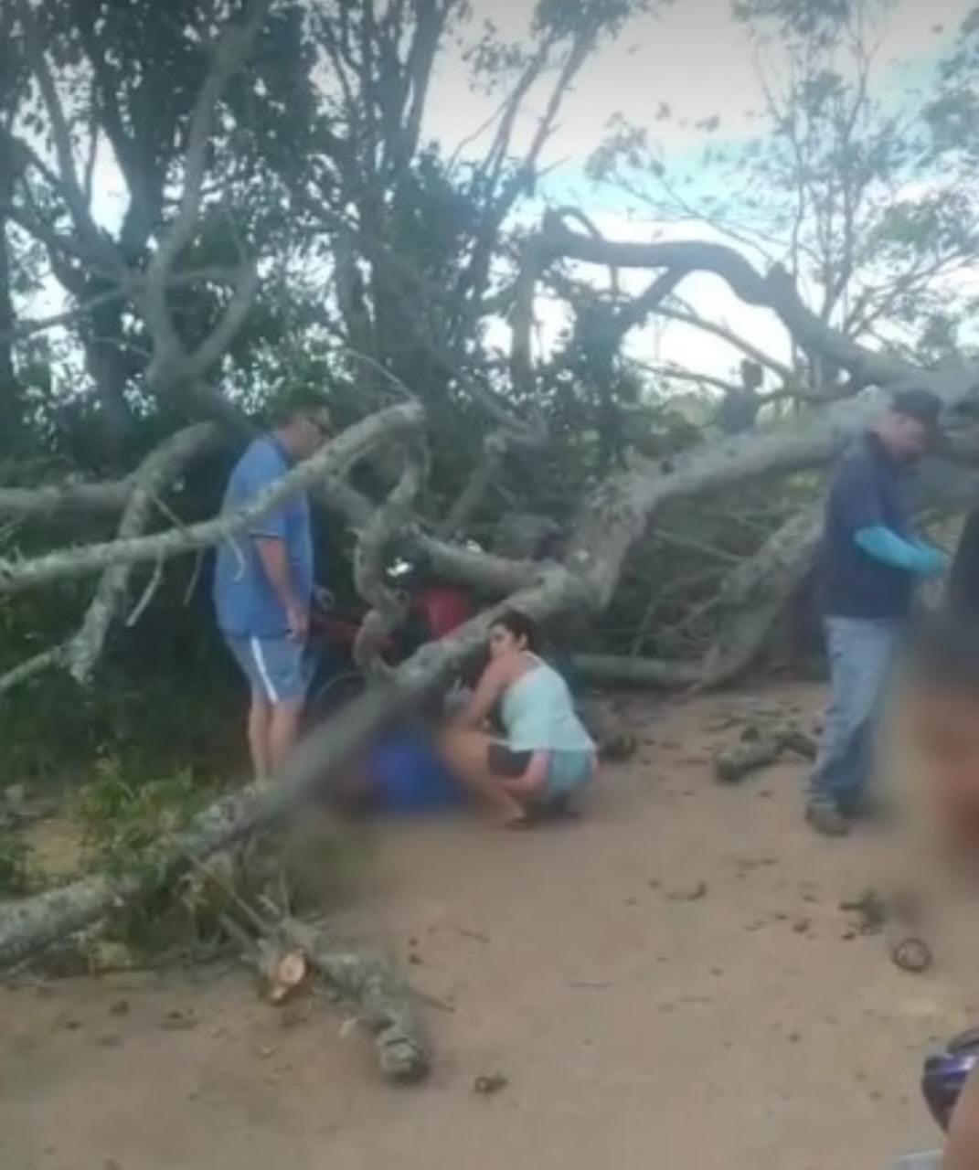 Homem morre esmagado por árvore ao parar em sombra para atender celular