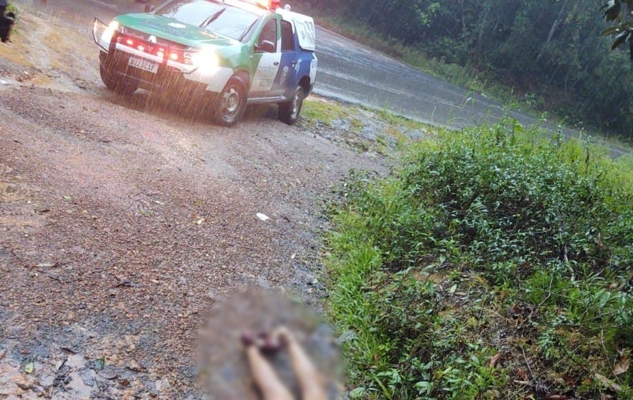 Mulher é encontrada morta com marcas de tiros em beira de ramal em Manaus