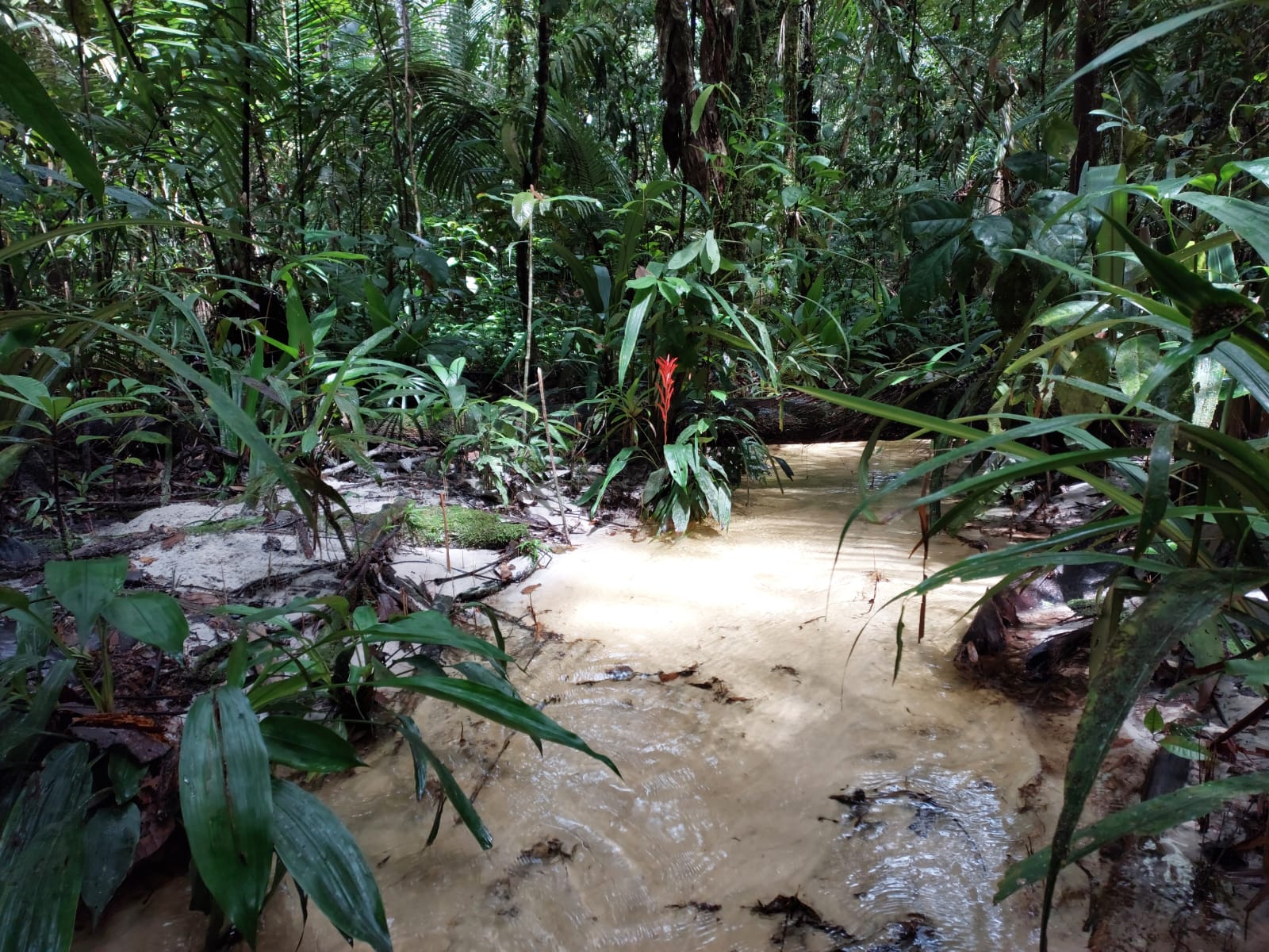 Pesquisa analisa a emissão de carbono durante os períodos de seca