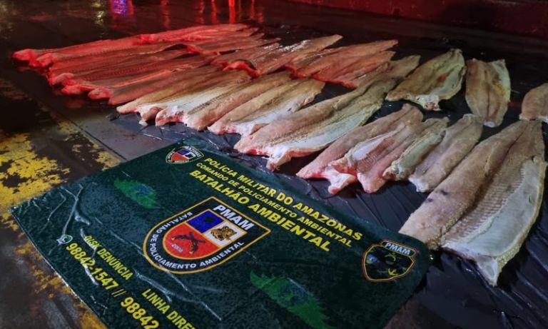 Homem é preso com quase 10 toneladas de pirarucu ilegal em barco em Manaus
