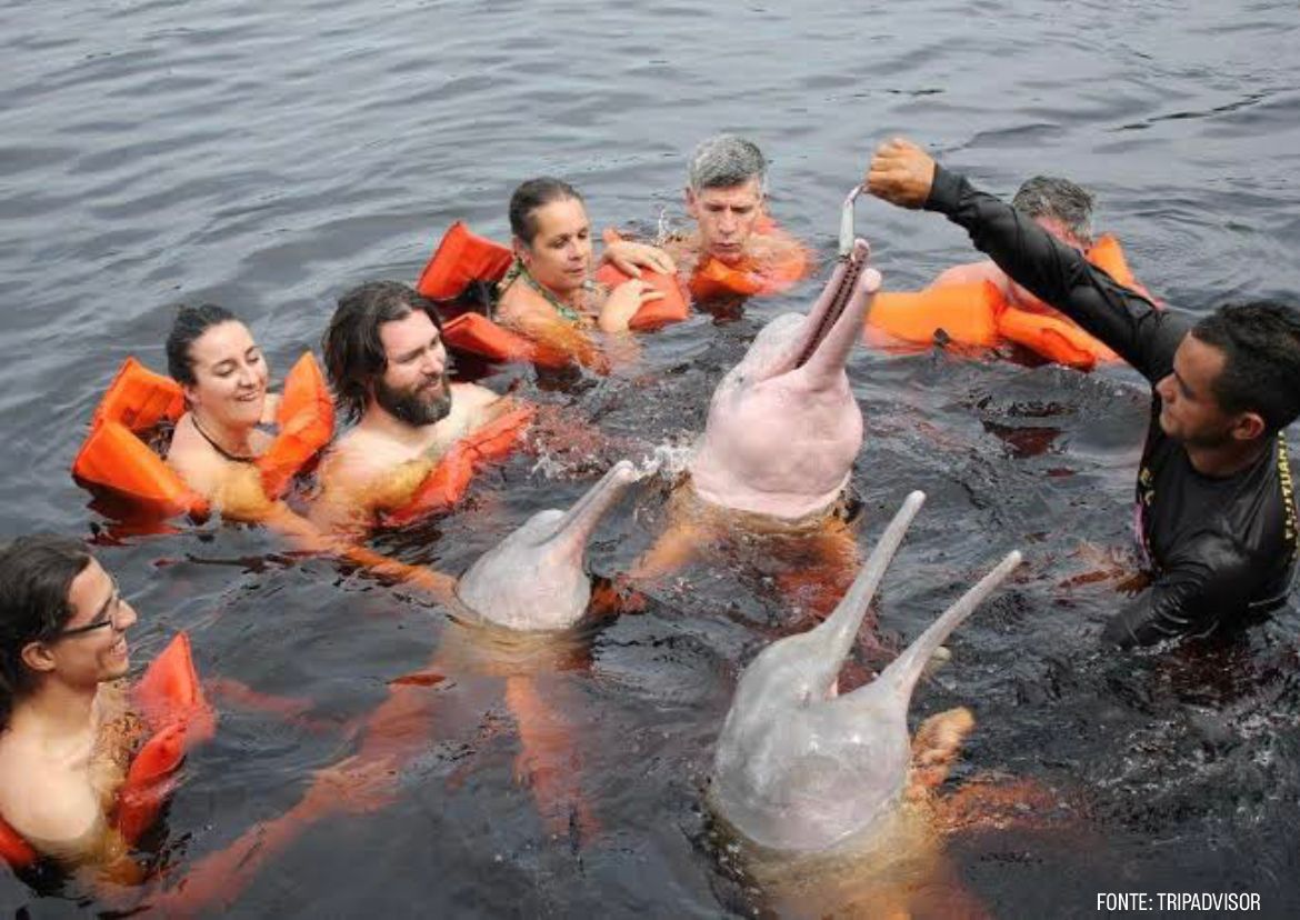 Novo Airão como Destino Turístico Inteligente “pra já”! 