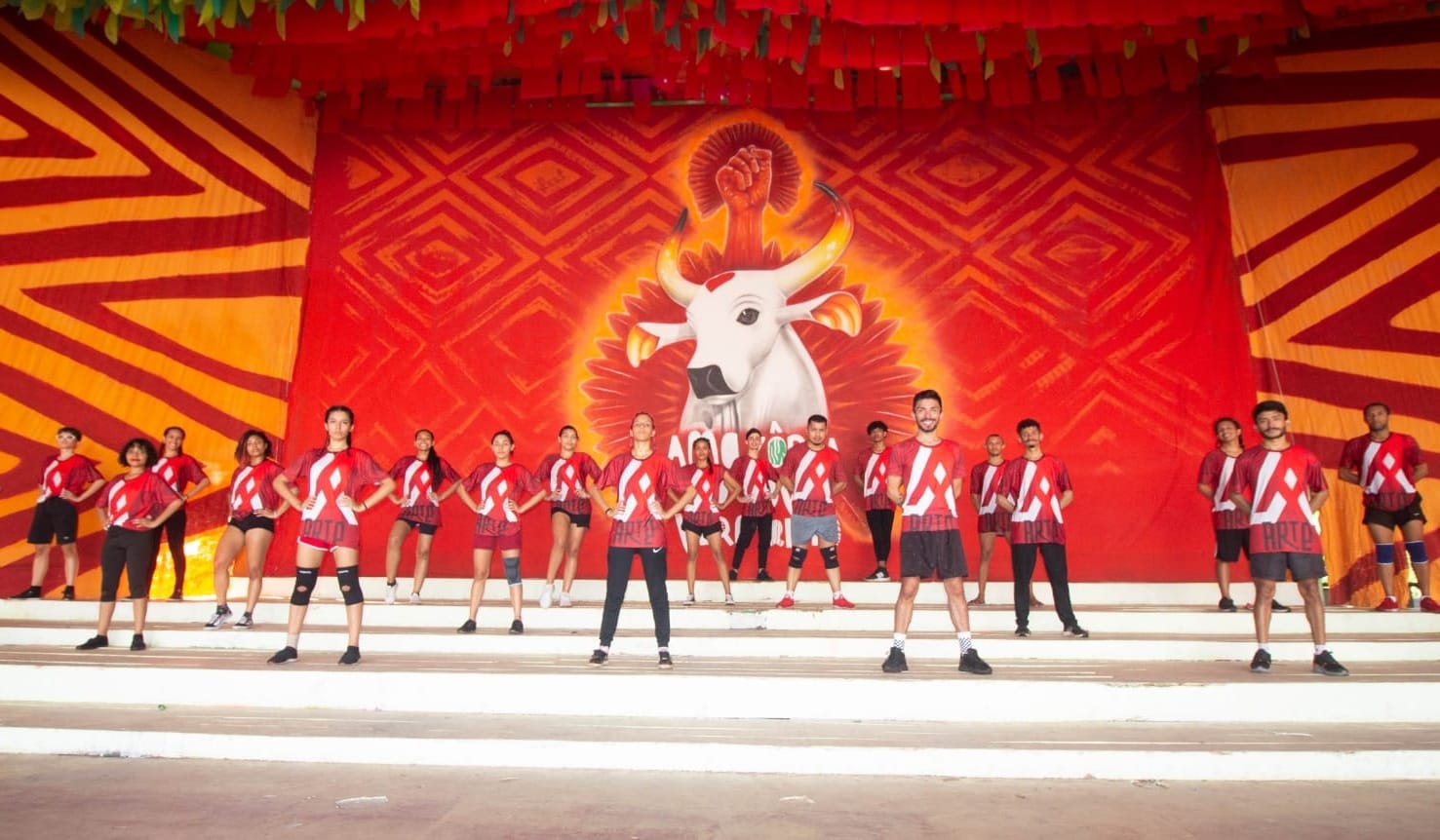 ‘Arte Sem Fronteiras’ seleciona bailarinos para o Boi Garantido