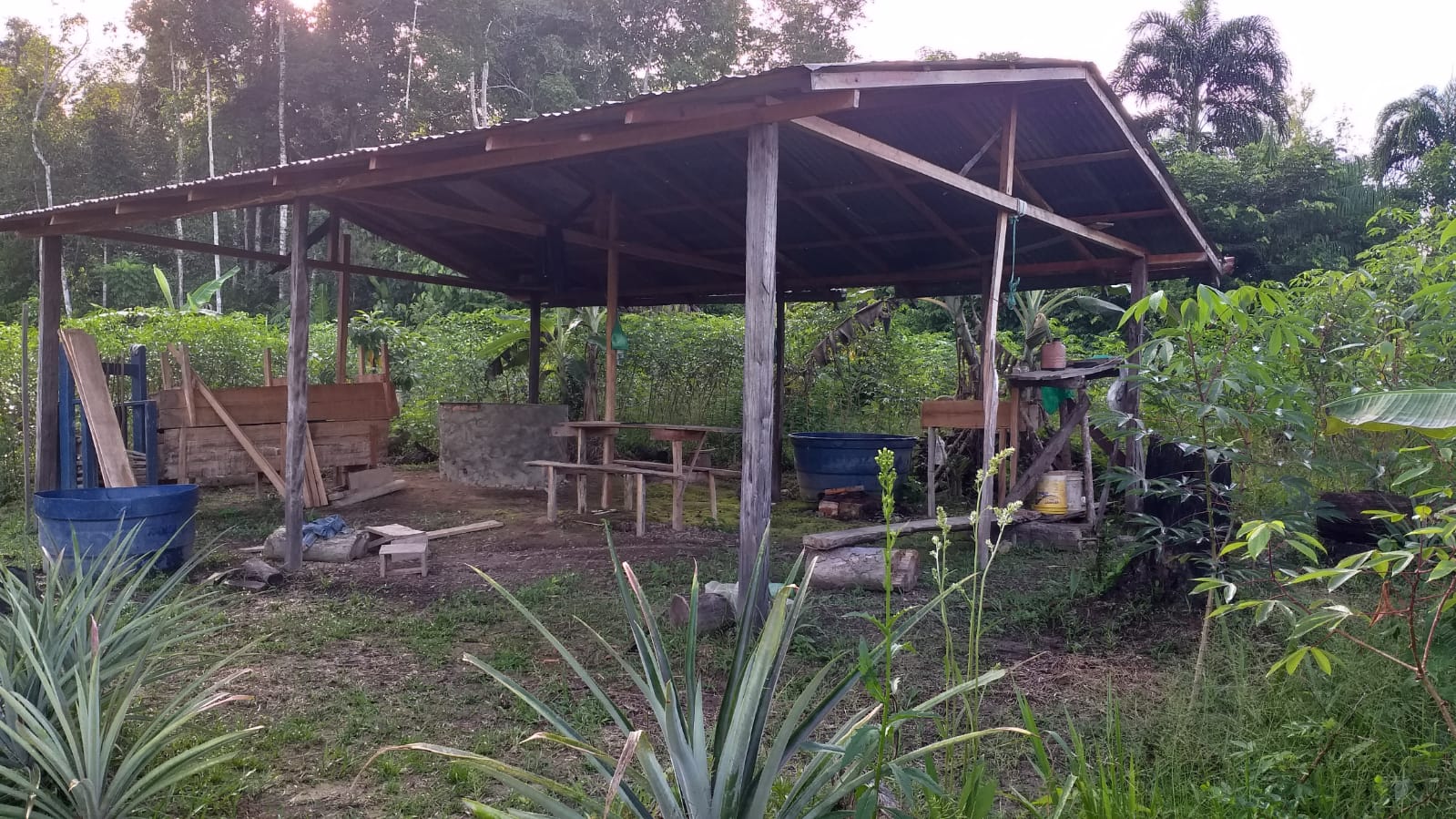 Justiça suspende reintegração de posse no Amazonas