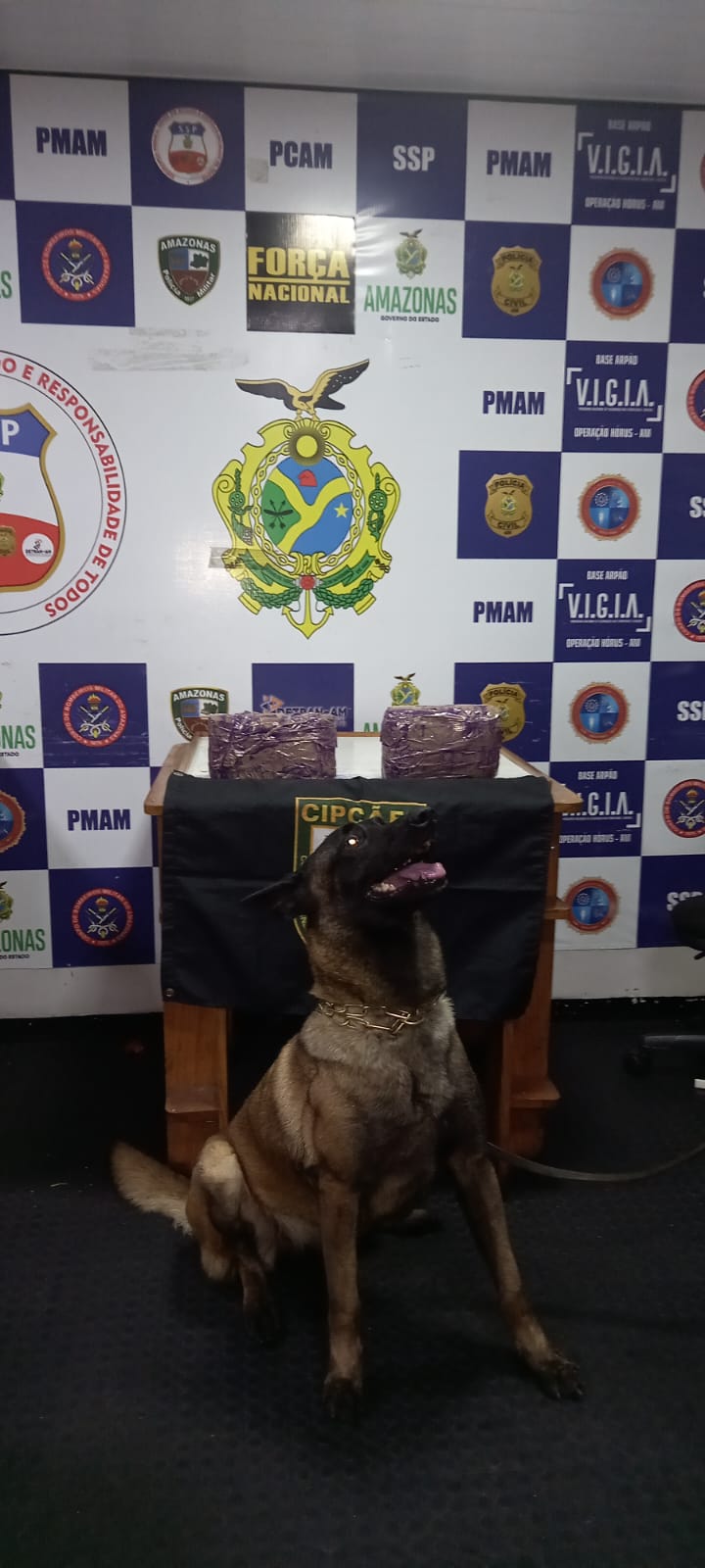 Drogas avaliadas em mais de R$ 240 mil são apreendidas em Coari