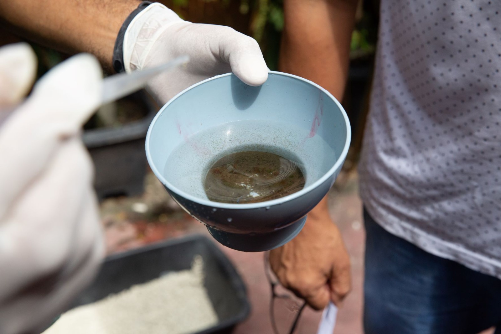 Manaus tem 19 bairros com alta vulnerabilidade para o Aedes Aegypti