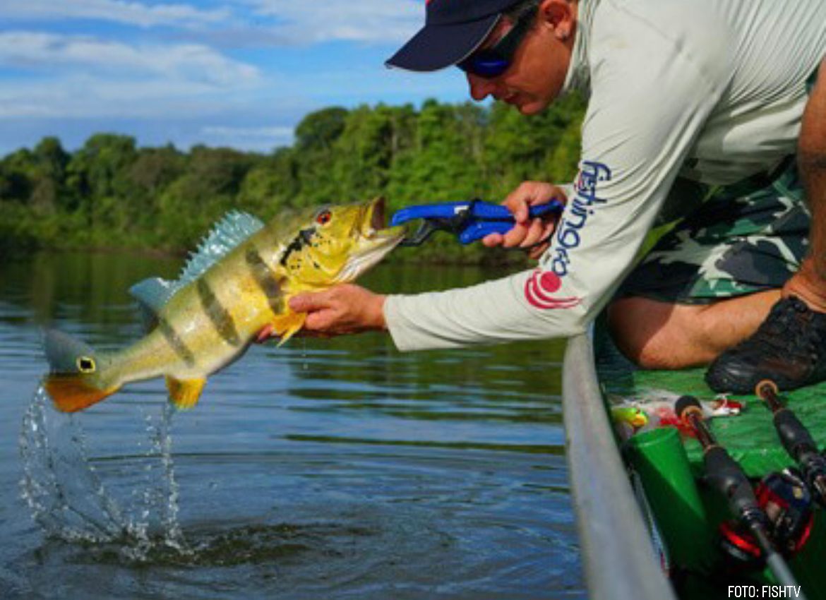 Não podemos deixar que uma reforma afete a Pesca Esportiva