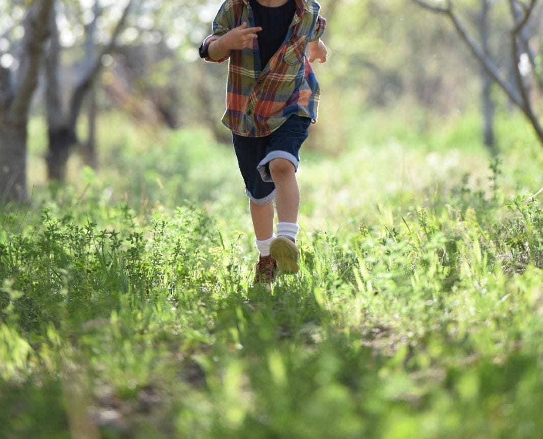 Infectologista ensina como prevenir a febre maculosa em crianças