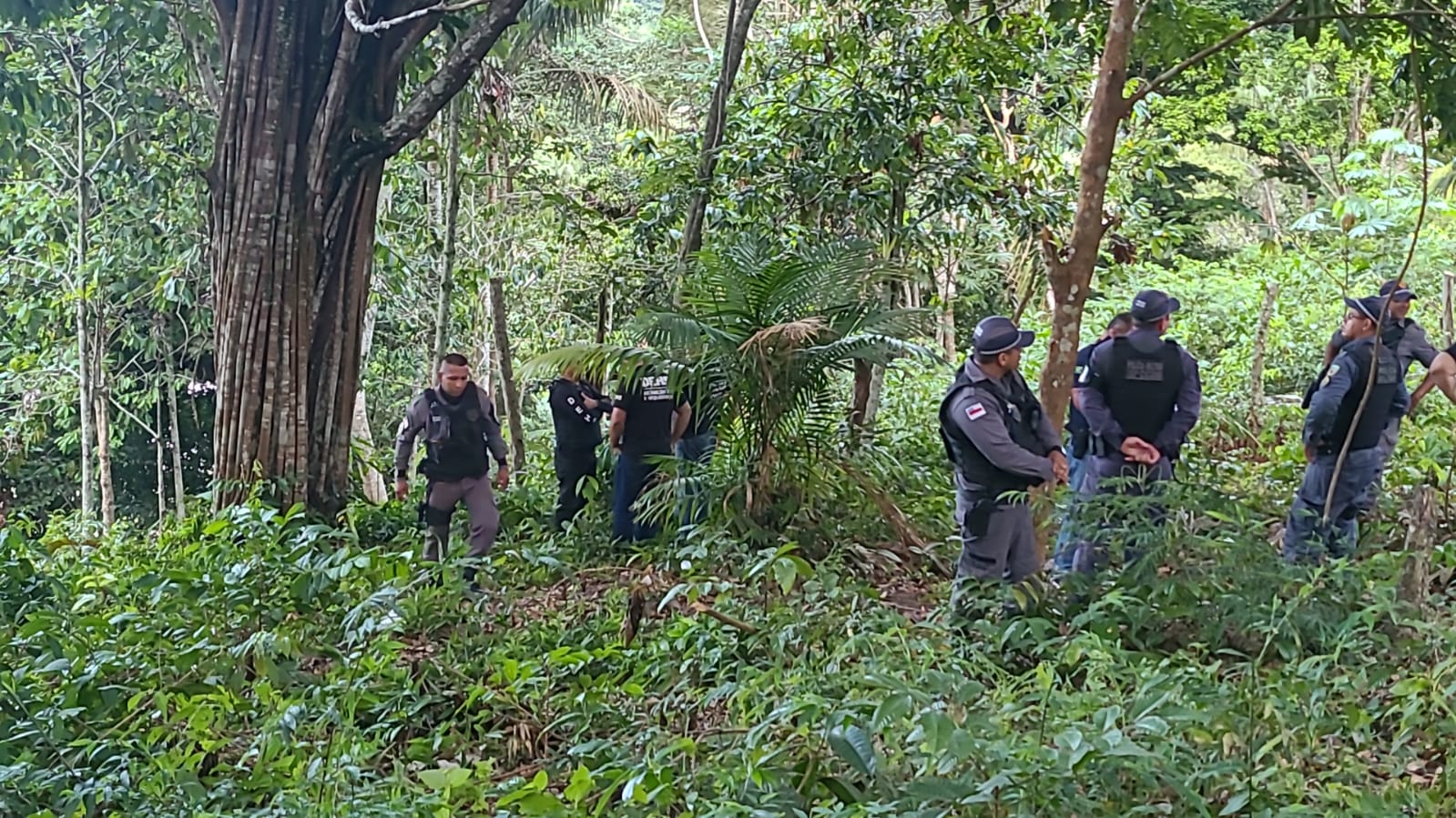 Homem é arrastado para área de mata e brutalmente executado em Manaus