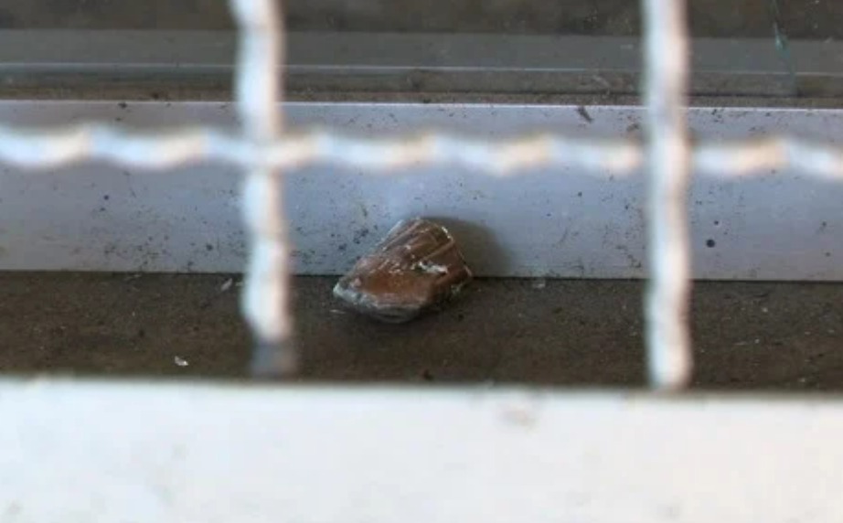 Idoso em leito de hospital morre após ser atingido por bala perdida