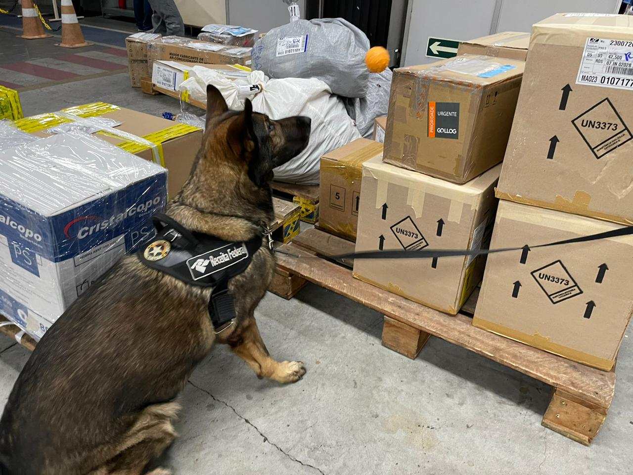 Drogas são encontradas dentro de potes de margarina em aeroporto de Manaus