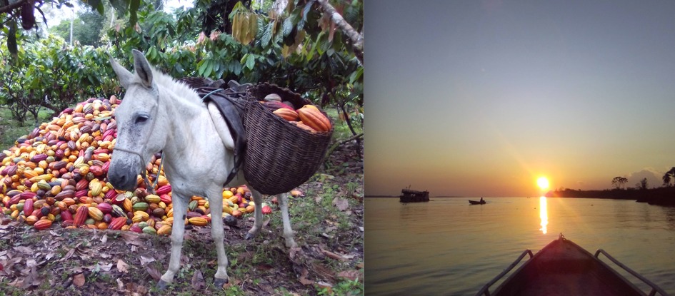 Jumento, cachoeira e pôr do sol disputam concurso de fotos do Censo 2022; saiba como votar