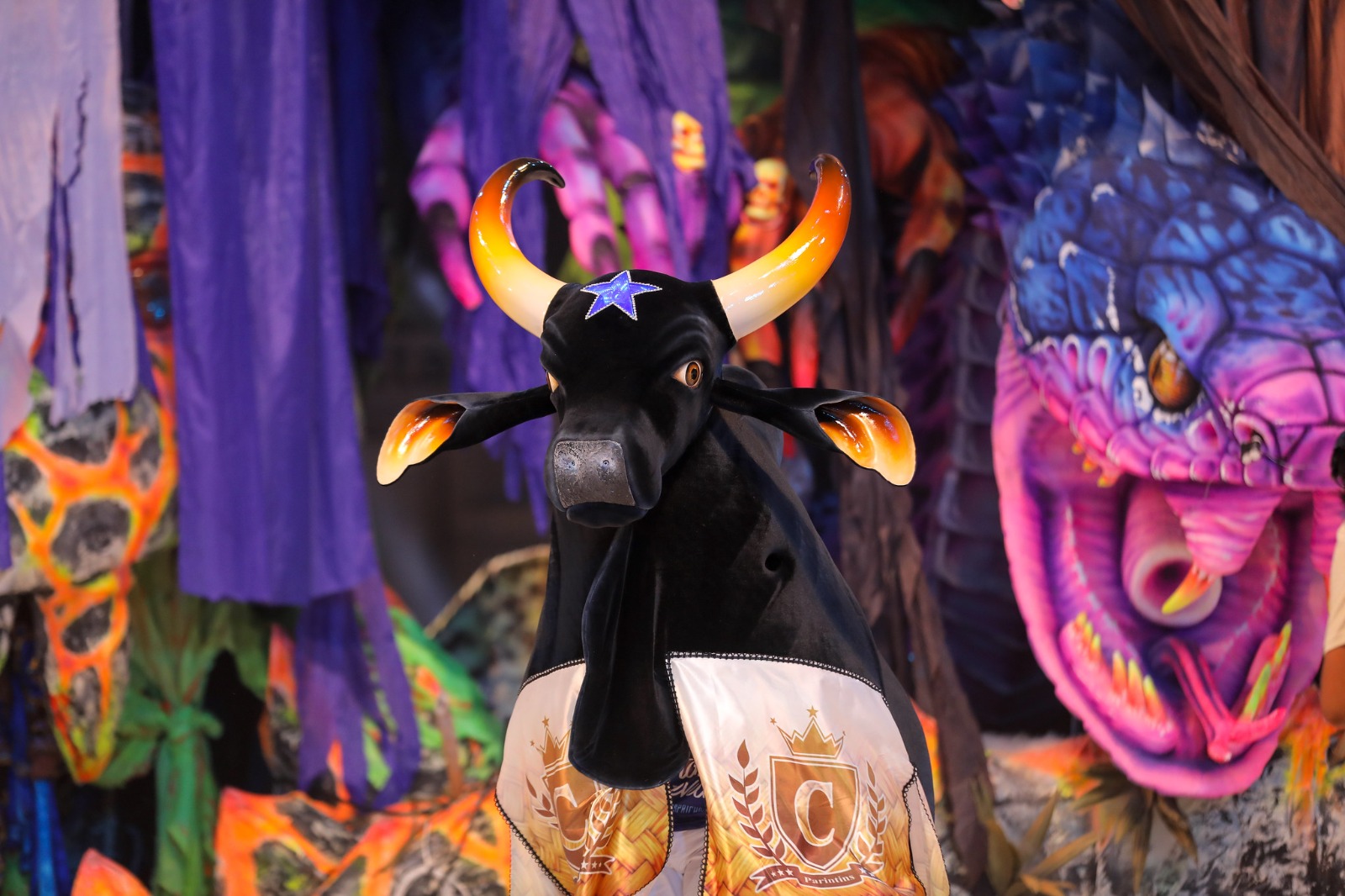 Caprichoso comemora bicampeonato neste sábado em Manaus