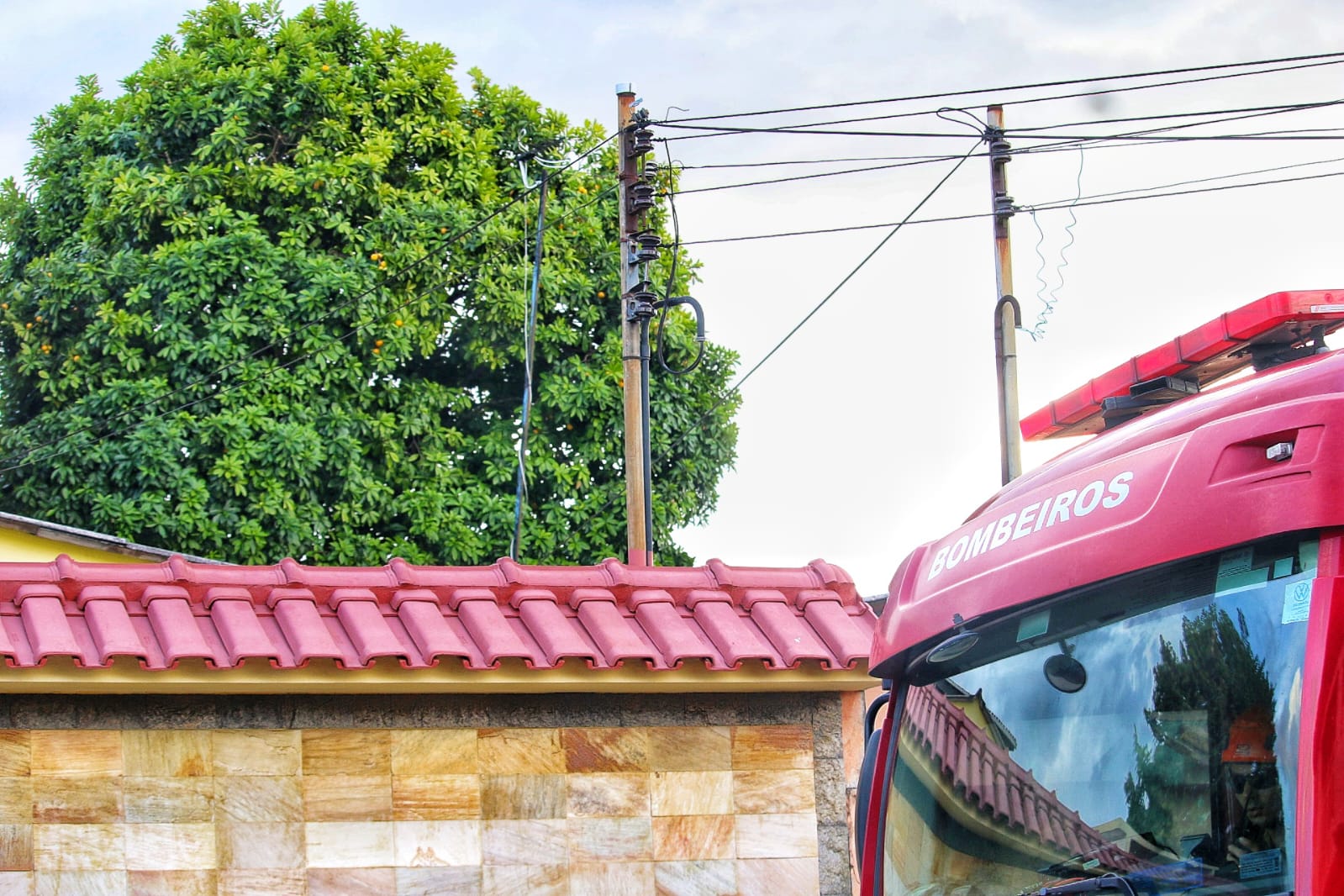 Homem morre e corpo fica pendurado em árvore em Manaus