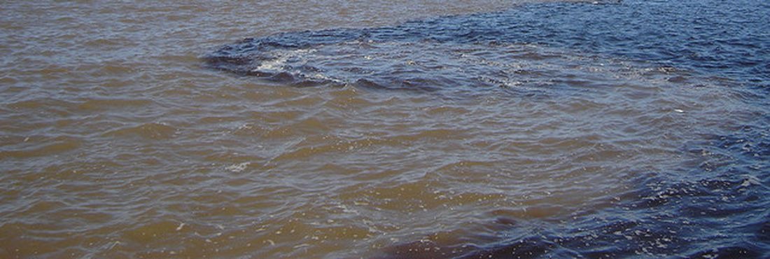 Justiça mantém condenação de empresa que lançou óleo no Rio Solimões